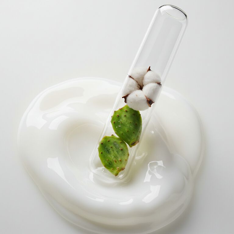 Fitocomplessi Iperfermentati